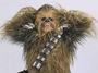 Let the Wookiee Eat! - Saturday, November 12th 8:10 PM - Bid on a once-in-a-lifetime opportunity to win a dinner with Peter Mayhew, Robert Picardo, or Tom Kane - Proceeds Benefit Epilepsy Awareness Project!
